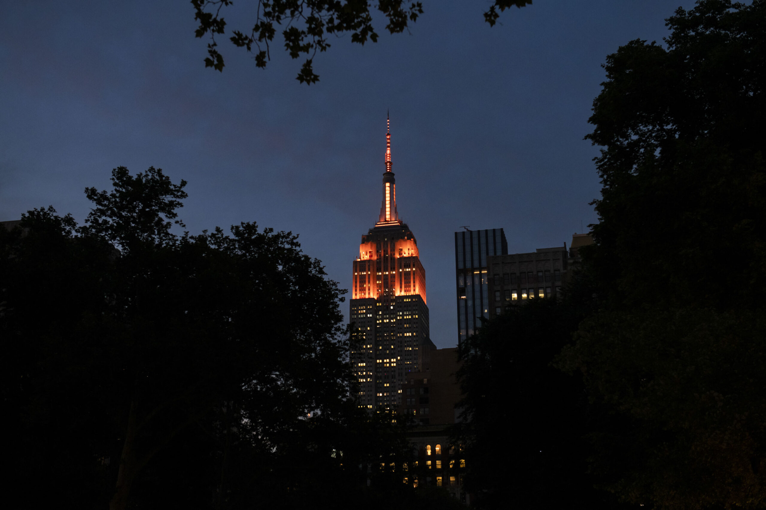 The Empire State Building is pictured at night; it is framed by silhouettes of dark trees and leaves, and is lit up orange for National Gun Violence Awareness Day.