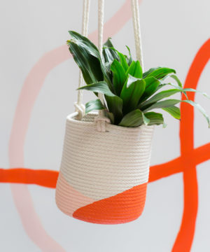 Small Hanging Planter